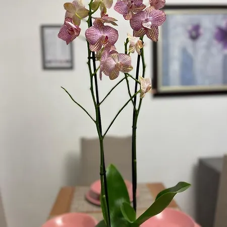 Apartment Arteg - Premium *